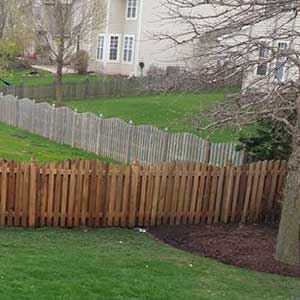 Photo of soft washed wooden fence restored to its natural color