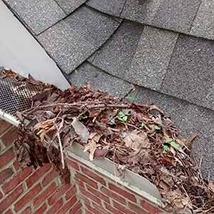 Photo of a clogged gutter full of leaves