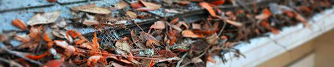 Photo of a gutter filled with leaves