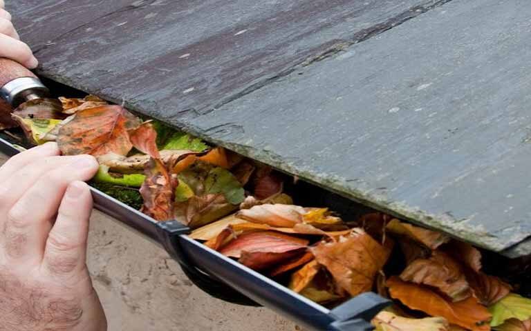 Photo of gutter with colorful leaves being removed