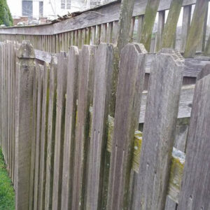 Angled photo of a natural wood fence