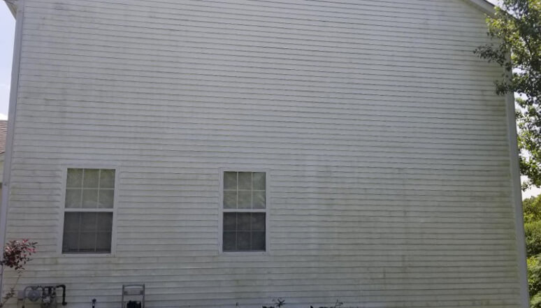 Before photo of vinyl siding that has dirt and algae on the side of a house with two windows