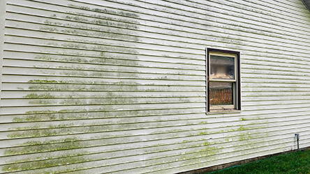 Photo of a residential house vinyl siding before being soft washed